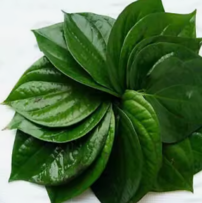 Paan / Beetle Leaves (5)